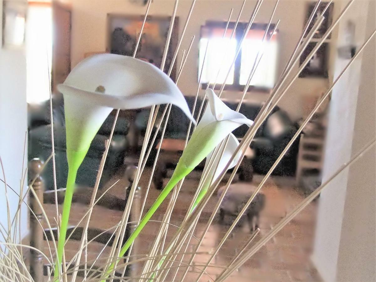 Villa Maria イエクラ エクステリア 写真